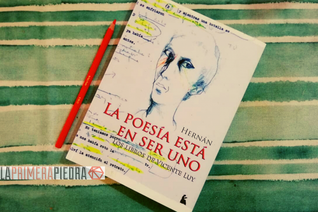 Los libros de Vicente Luy