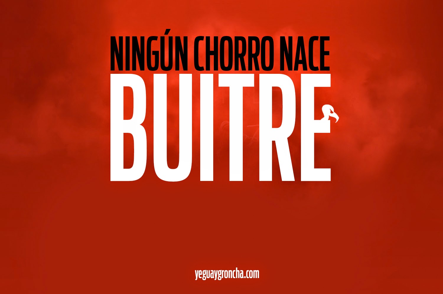 NINGUNCHORROBUITRE2