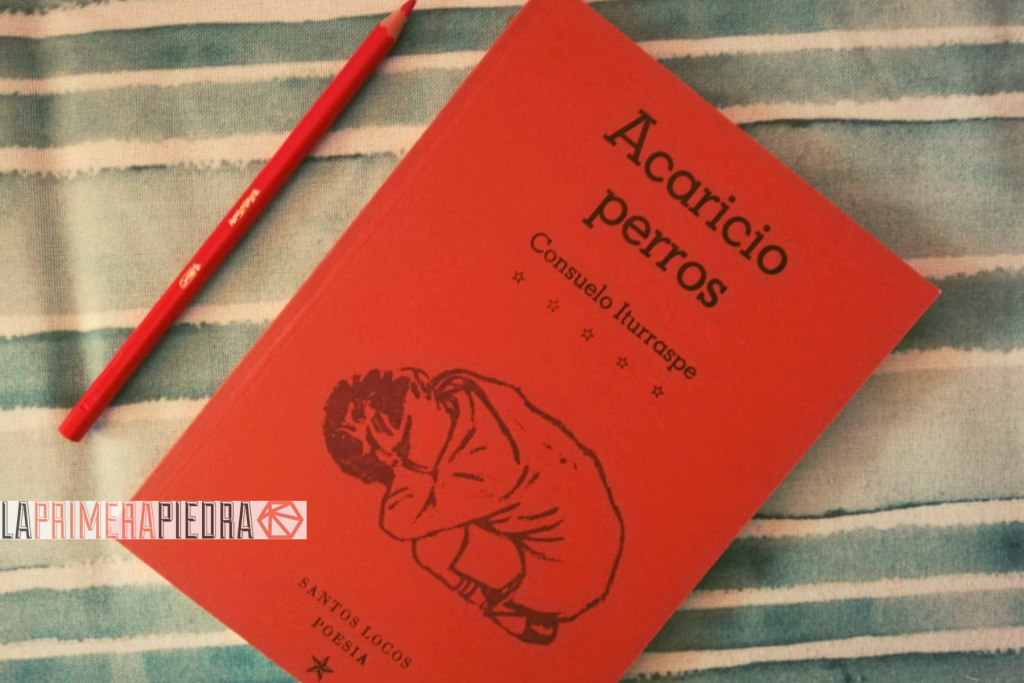 Libros de poesia