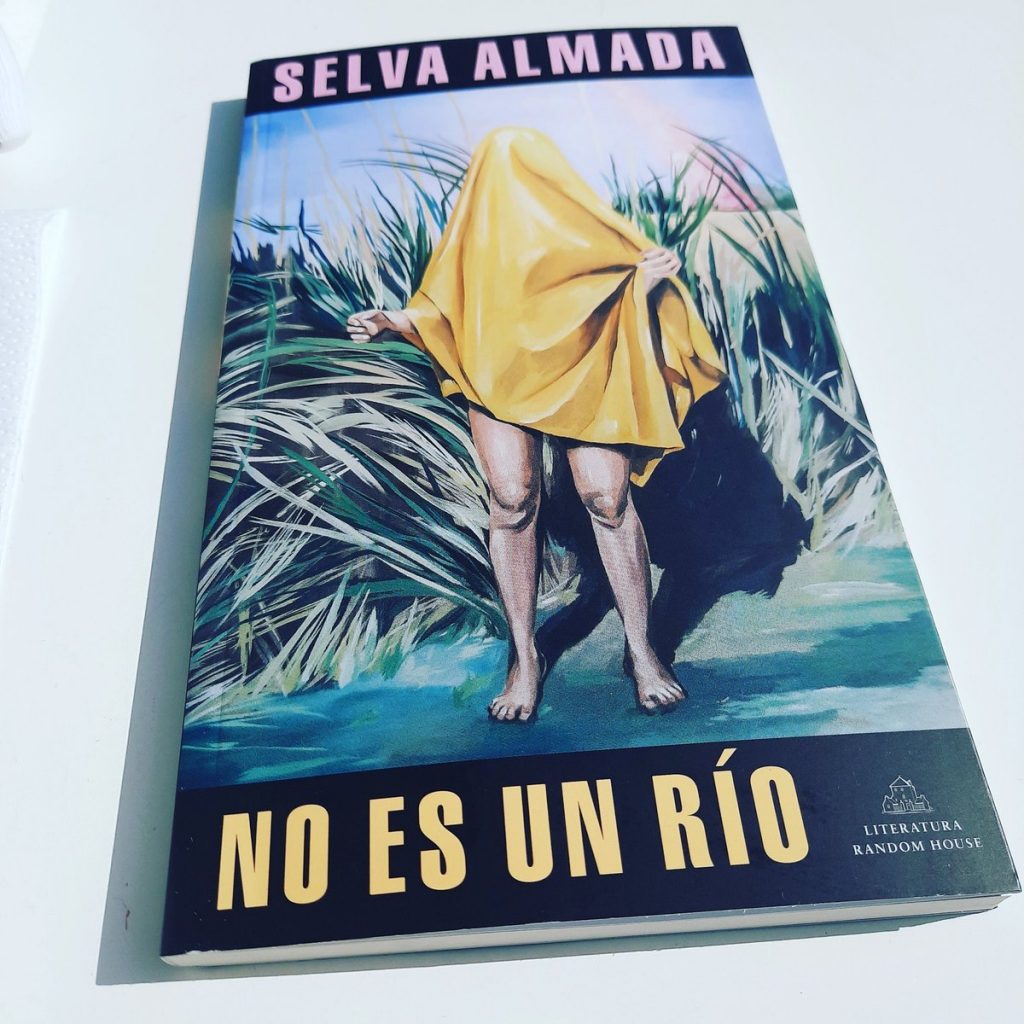 Selva Almada / libros 2020