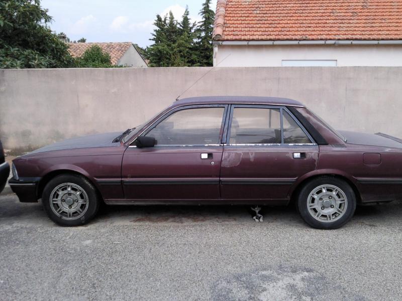 peugeot 505